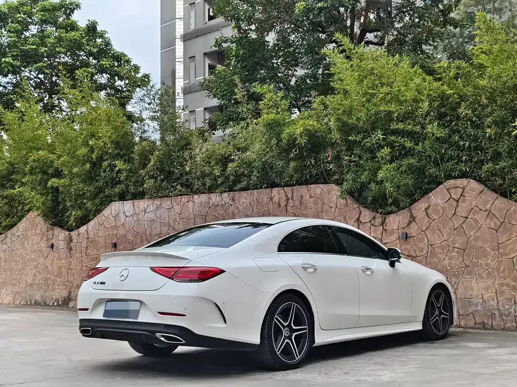 Mercedes-Benz CLS 2021 из CN, фото 10