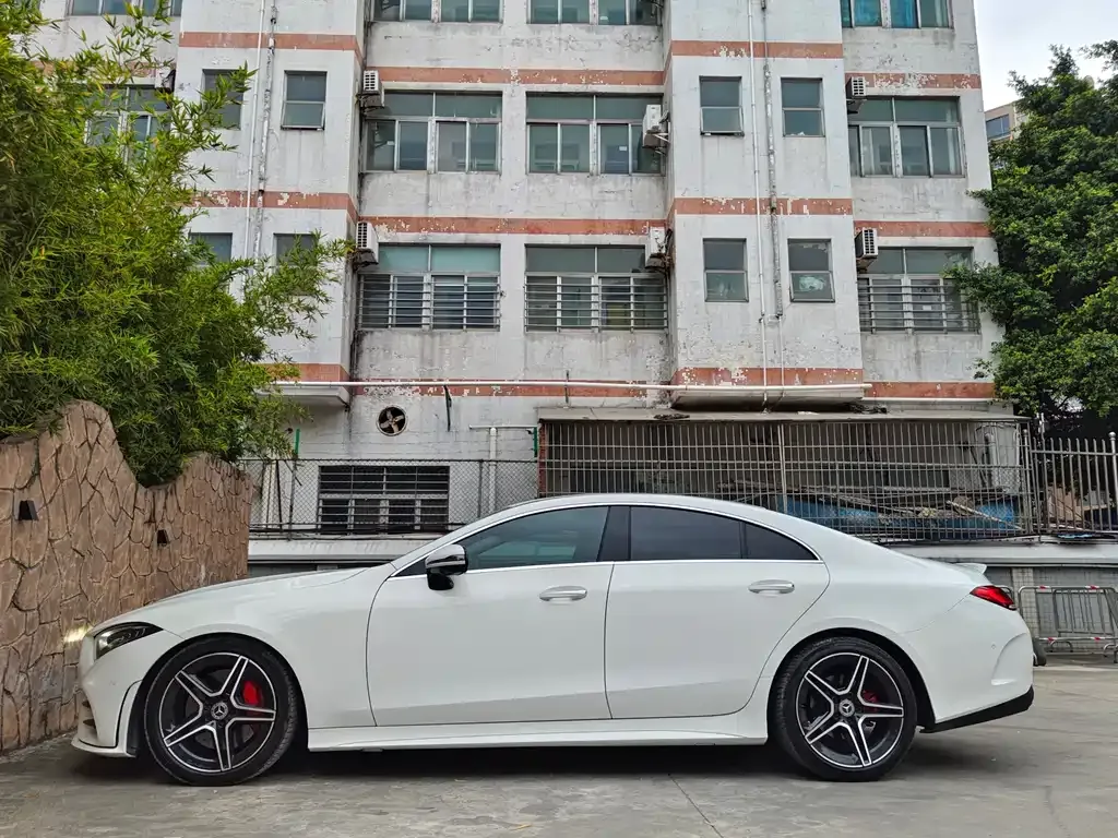 Mercedes-Benz CLS 2021 из CN, фото 9