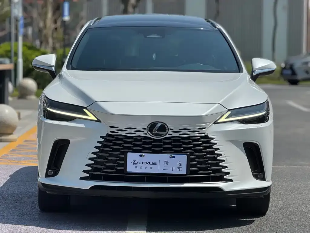 Lexus RX 2023 из CN, фото 7