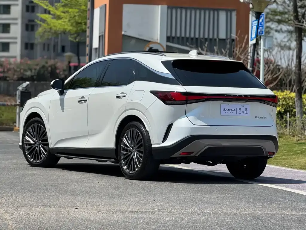 Lexus RX 2023 из CN, фото 8