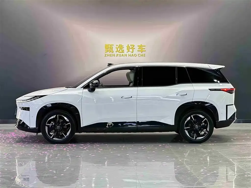 Toyota Platinum 3X 2025 из CN, фото 4