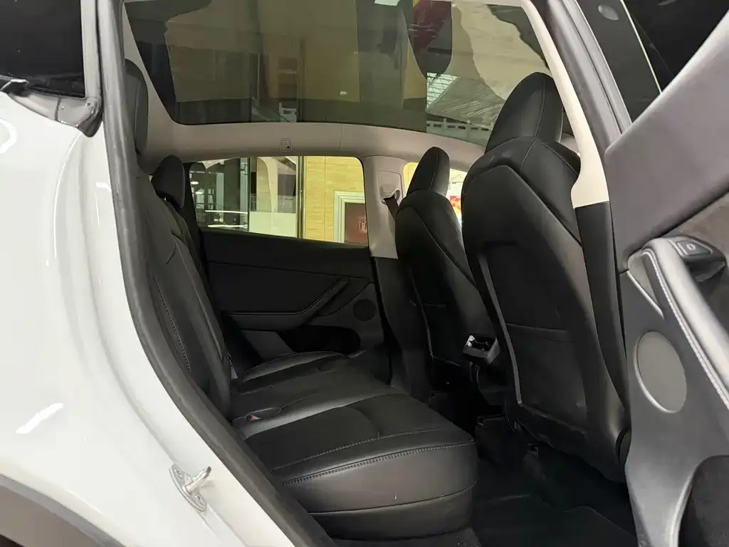 Tesla Model Y 2024 из CN, фото 6