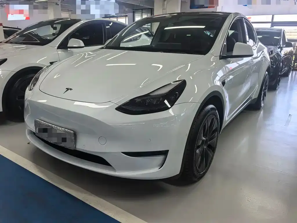 Tesla Model Y — фото 1