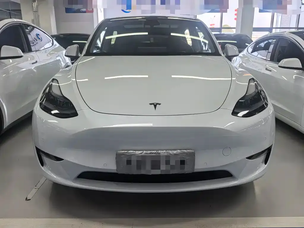 Tesla Model Y — фото 6