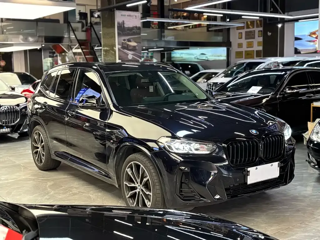BMW X3 — фото 10