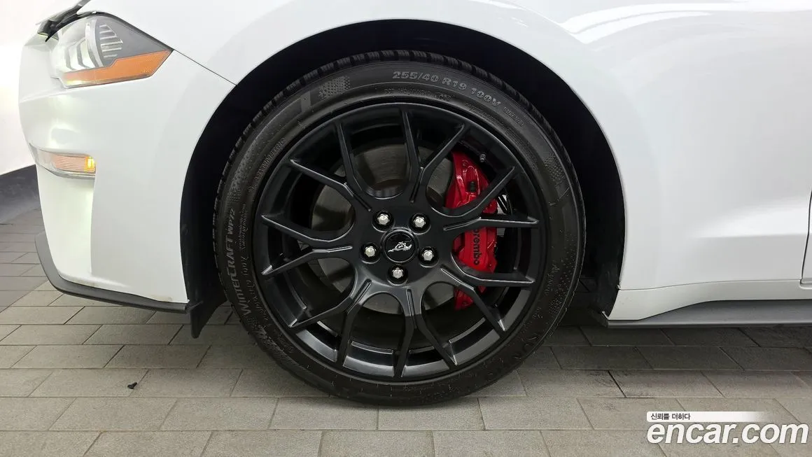 Ford Mustang 2023 из KR, фото 7