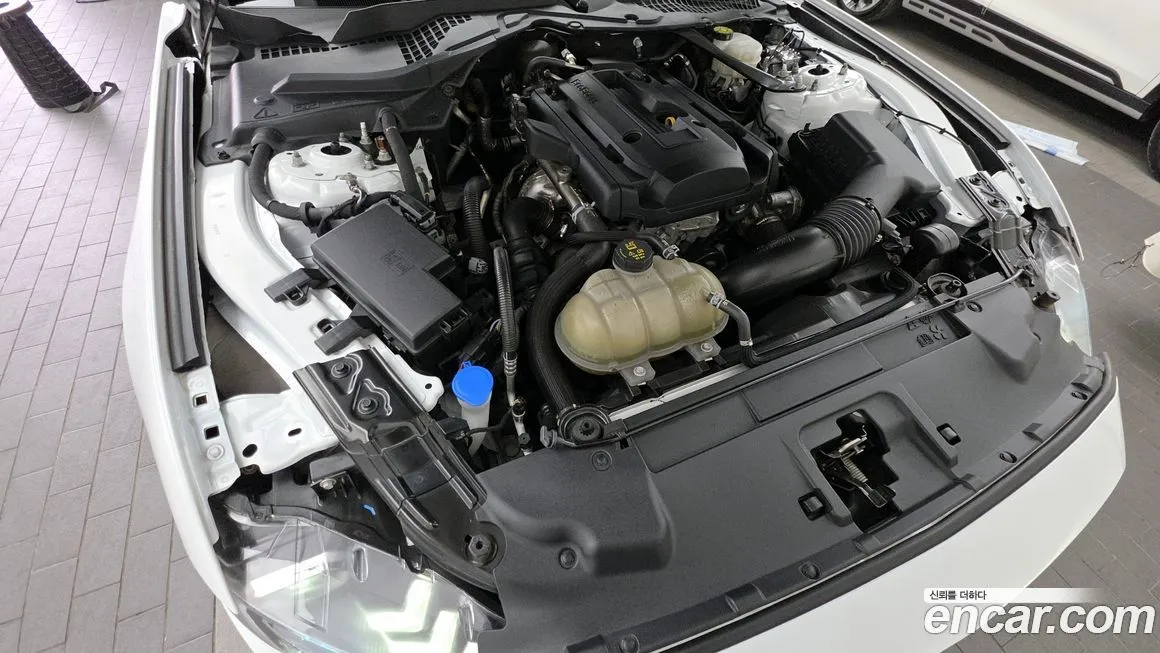 Ford Mustang 2023 из KR, фото 8