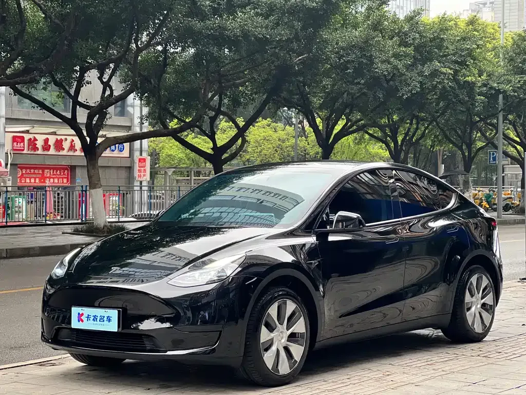 Tesla Model Y — фото 1