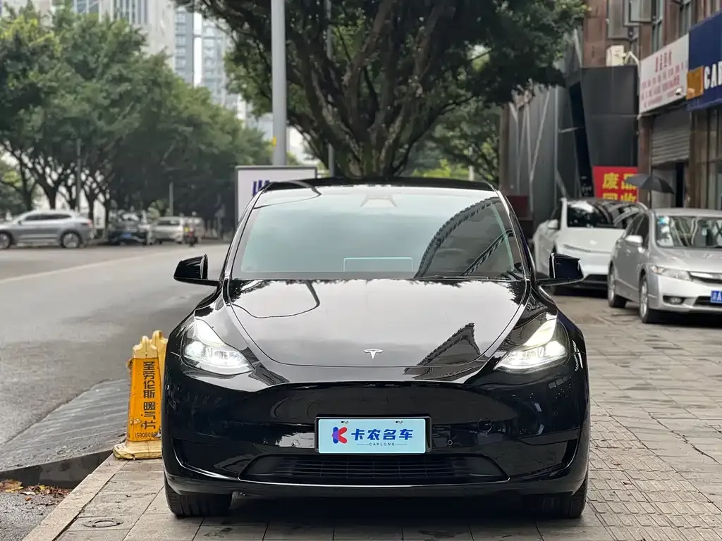 Tesla Model Y — фото 2
