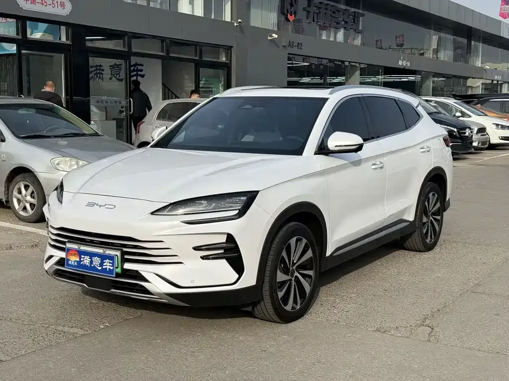 BYD PLUS New Energy — фото 1