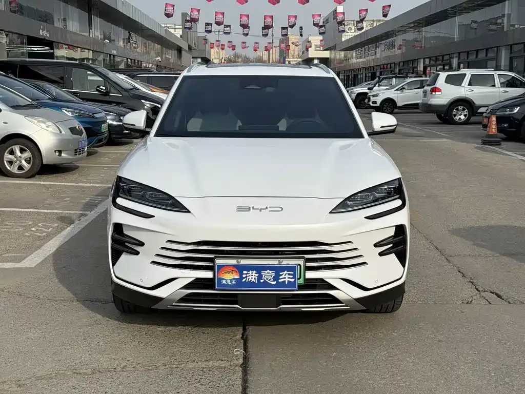 BYD PLUS New Energy — фото 10