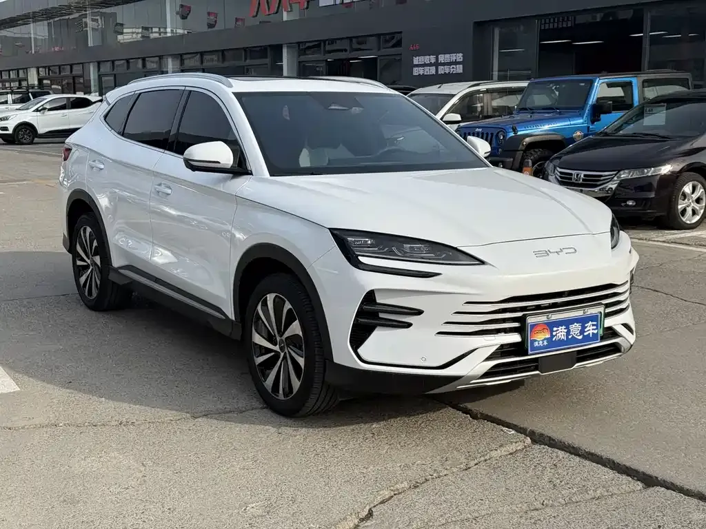 BYD PLUS New Energy — фото 7