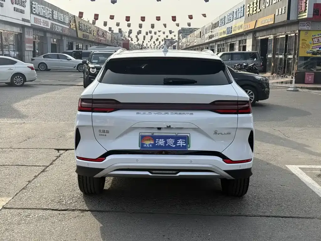 BYD PLUS New Energy — фото 8