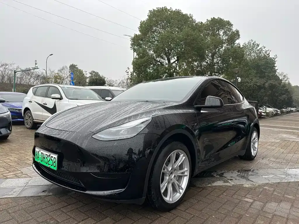 Tesla Model Y 2023 из CN, фото 1