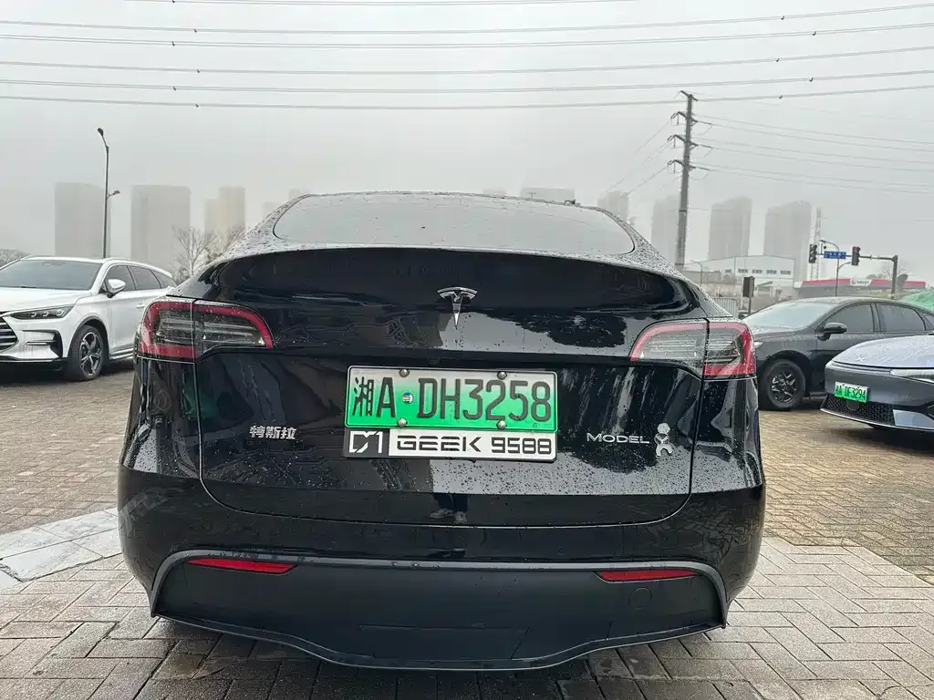 Tesla Model Y 2023 из CN, фото 2