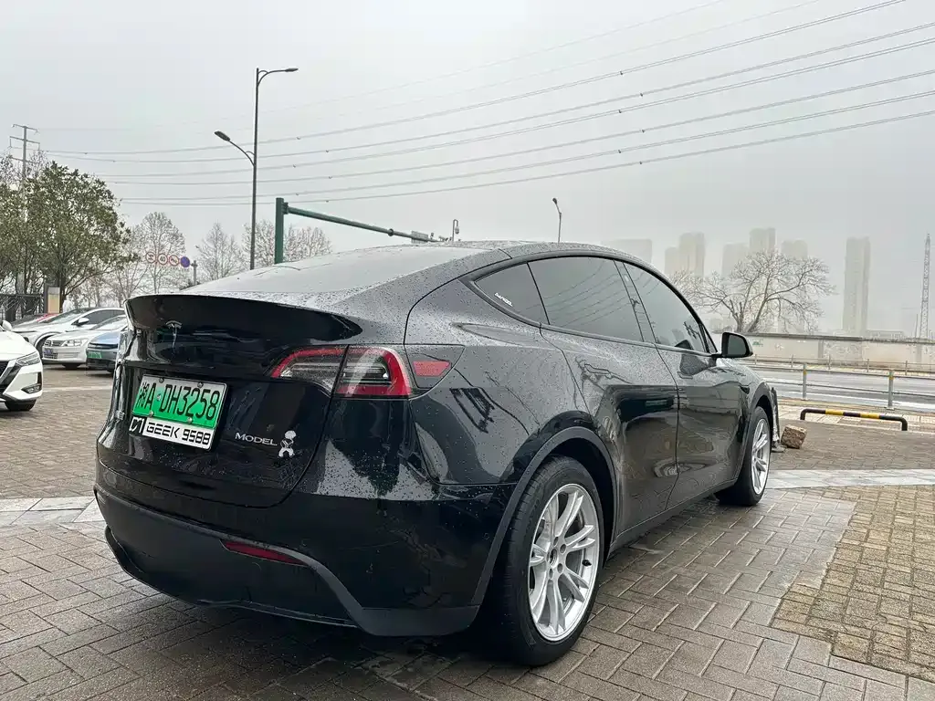 Tesla Model Y 2023 из CN, фото 6