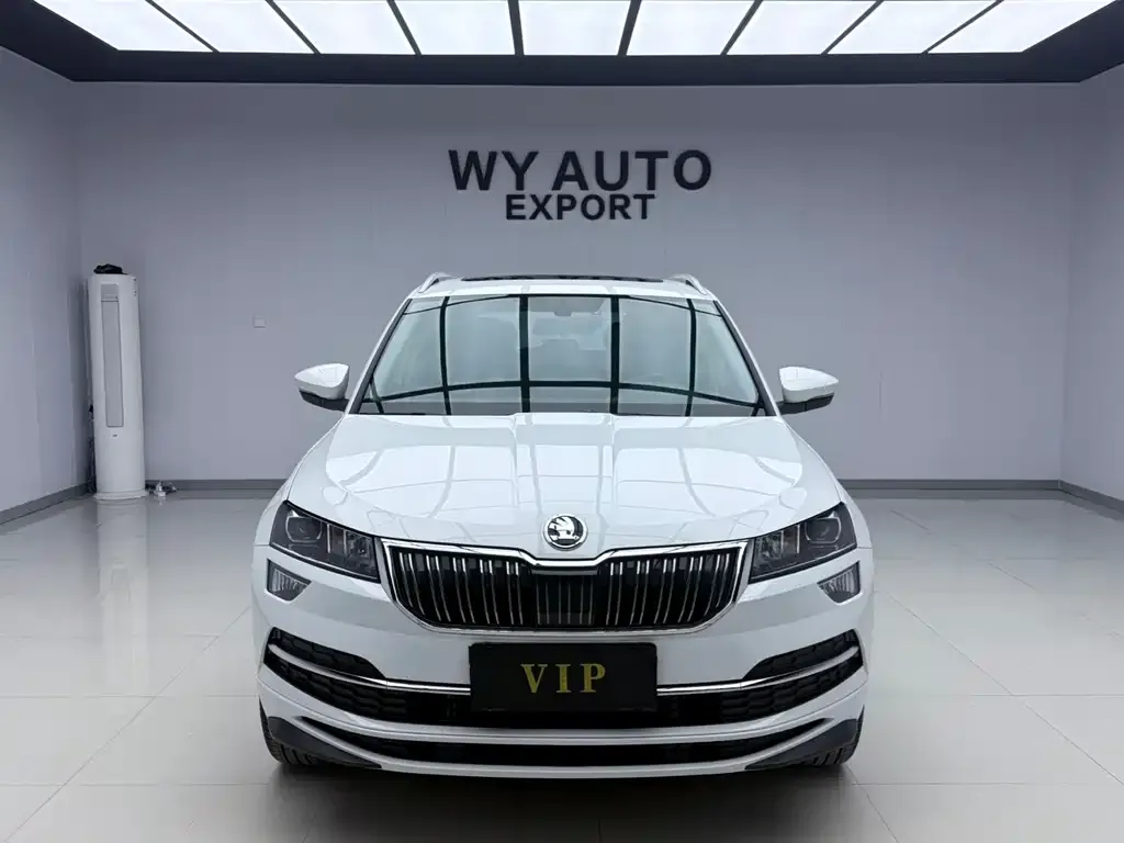 Skoda Karoq 2025 из CN, фото 10