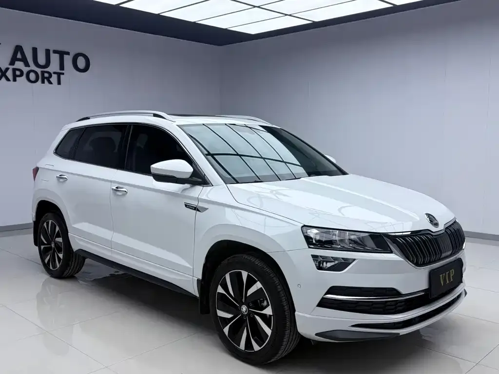 Skoda Karoq 2025 из CN, фото 8