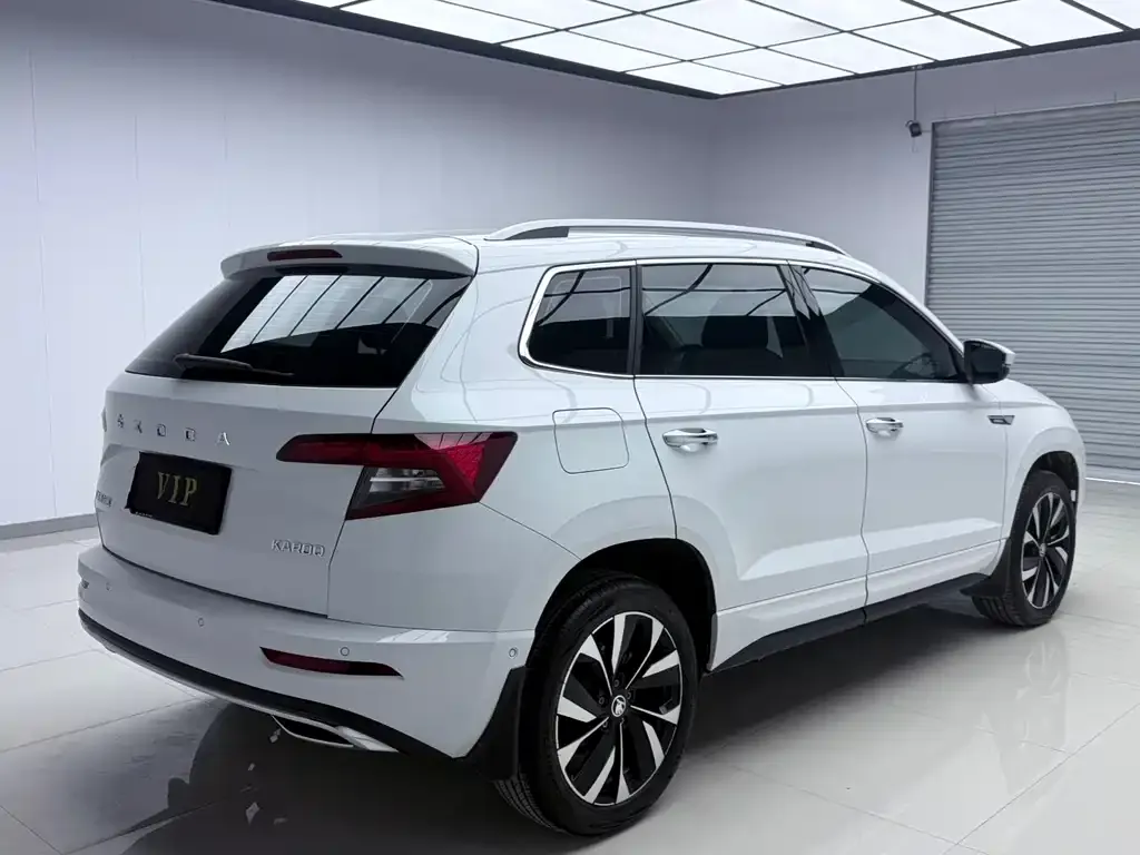 Skoda Karoq 2025 из CN, фото 3