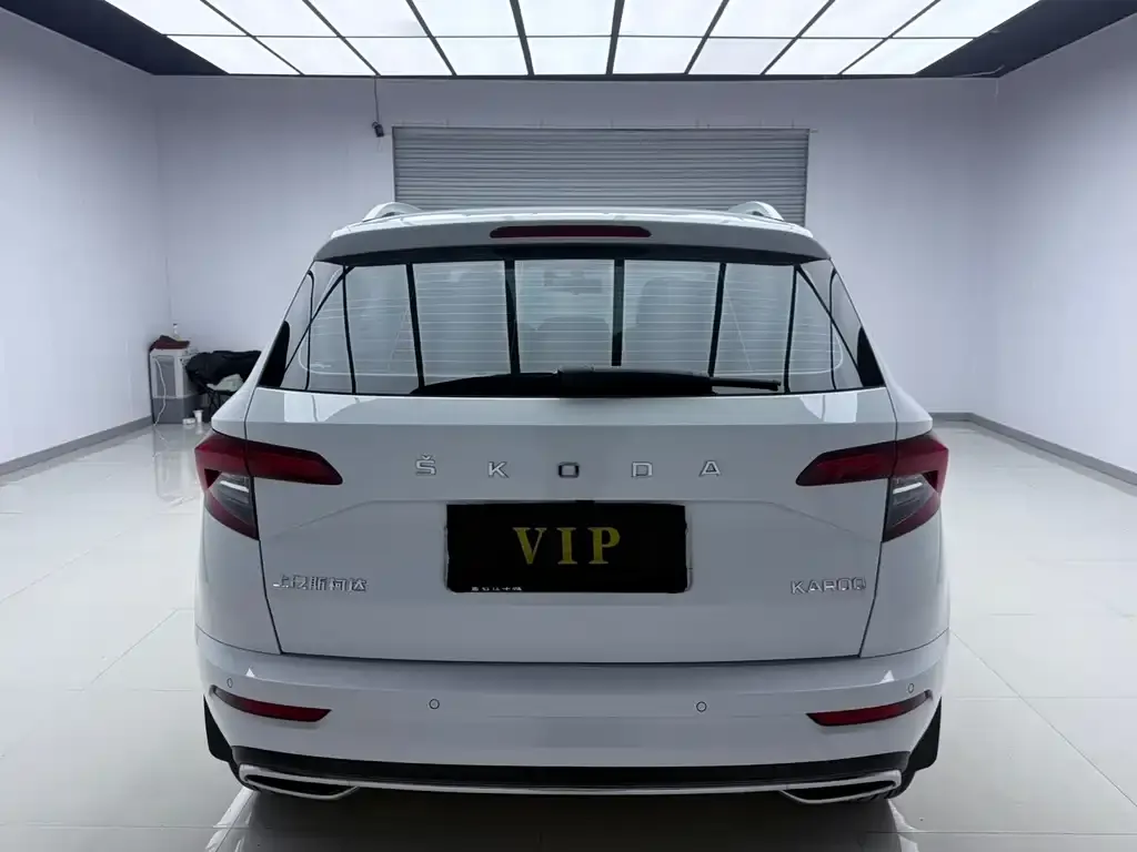 Skoda Karoq 2025 из CN, фото 9