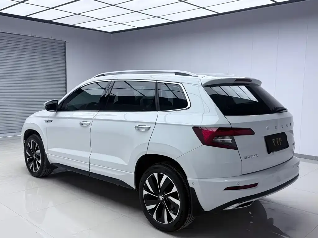 Skoda Karoq 2025 из CN, фото 5