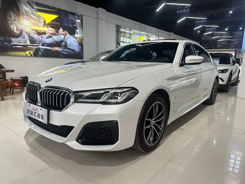 BMW 5 Series 2021 из CN, фото 1