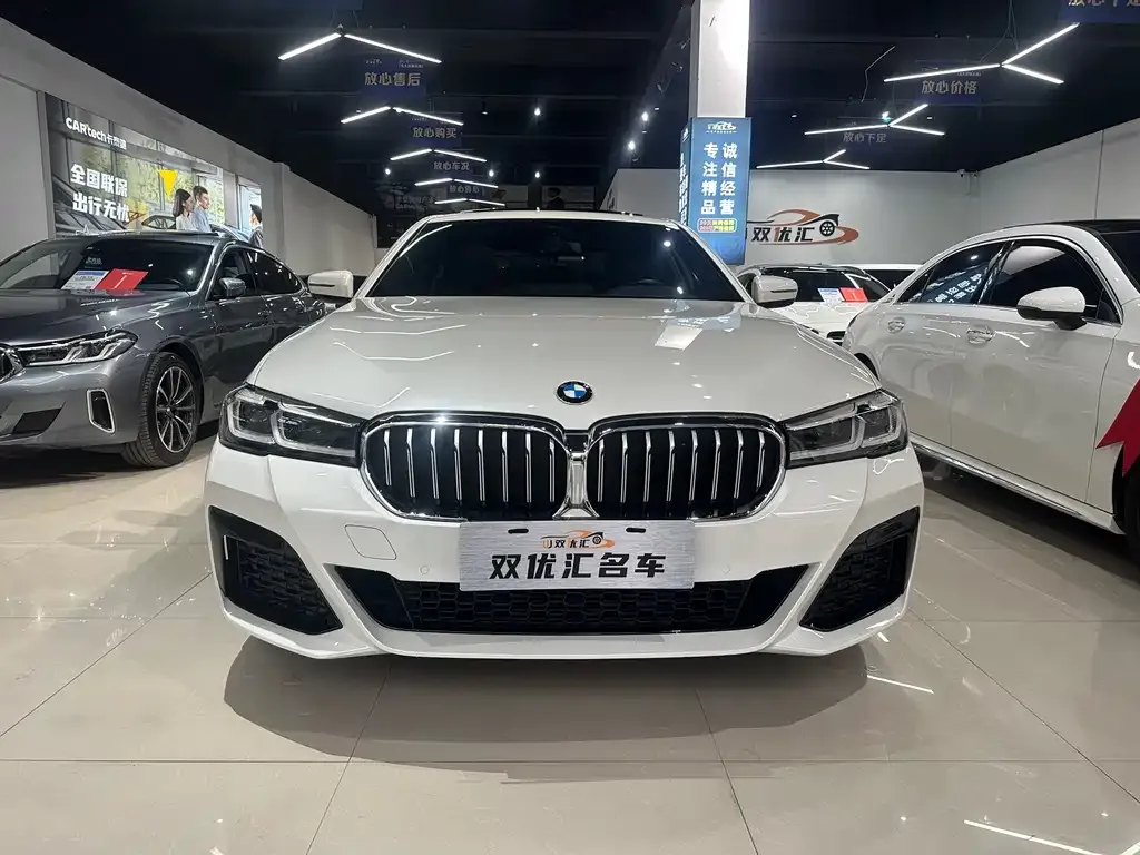 BMW 5 Series 2021 из CN, фото 5