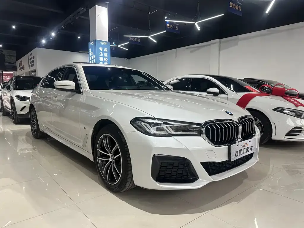 BMW 5 Series 2021 из CN, фото 6