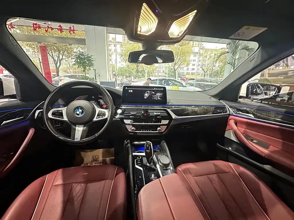 BMW 5 Series 2021 из CN, фото 9
