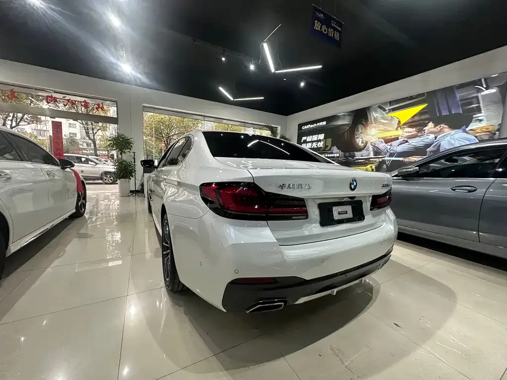 BMW 5 Series 2021 из CN, фото 3