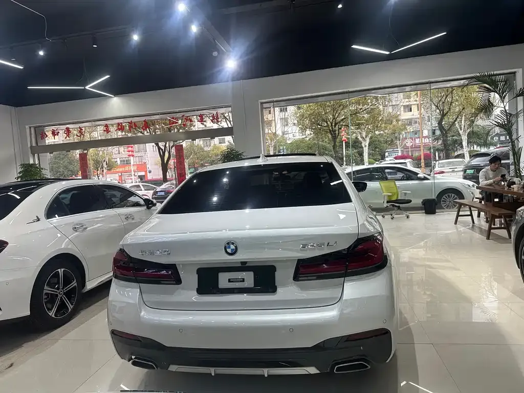 BMW 5 Series 2021 из CN, фото 4