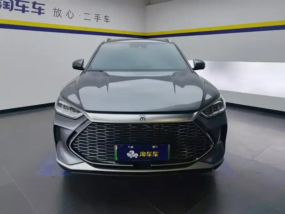 BYD PLUS New Energy — фото 3