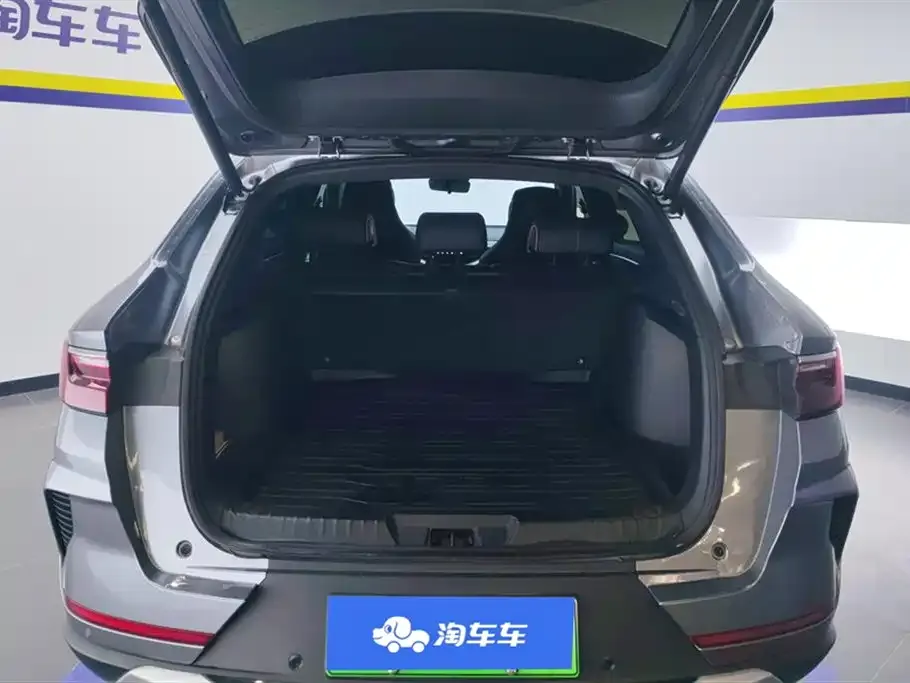 BYD PLUS New Energy — фото 4