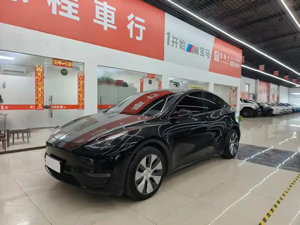 Tesla Model Y — фото 1