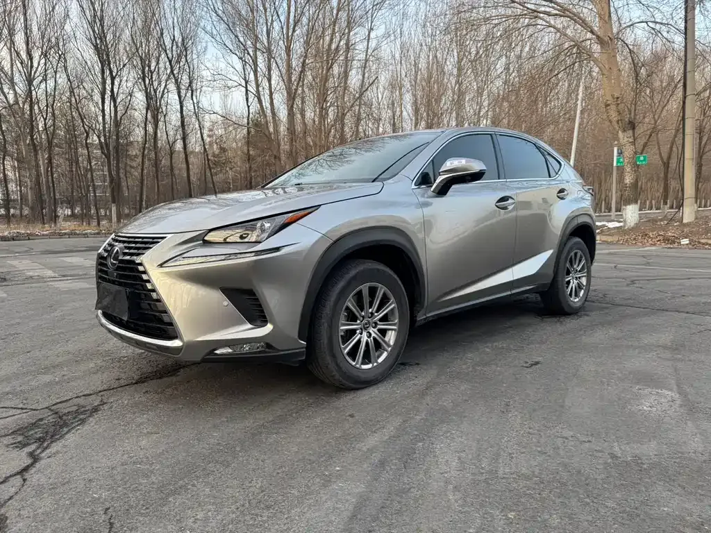 Lexus NX 2021 из CN, фото 1