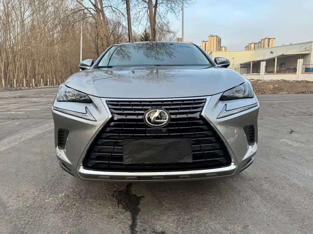 Lexus NX 2021 из CN, фото 10