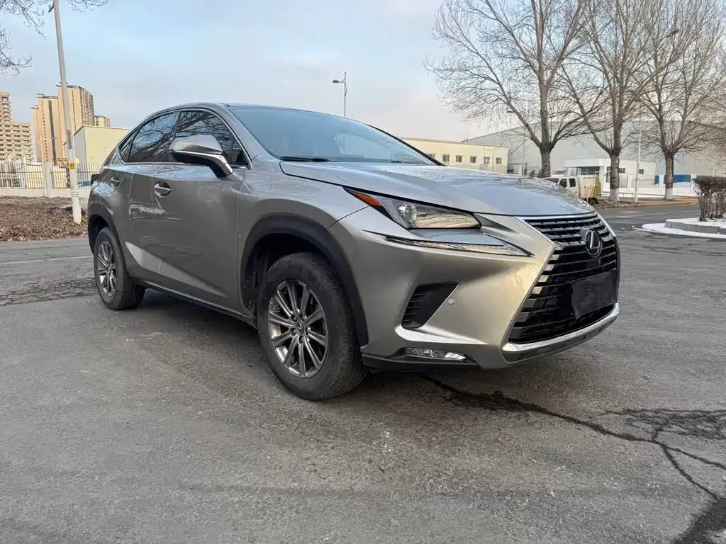 Lexus NX 2021 из CN, фото 9