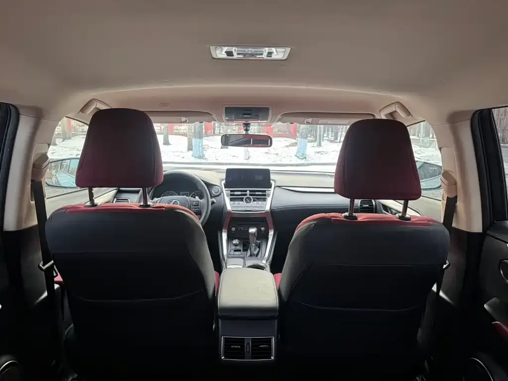 Lexus NX 2021 из CN, фото 8