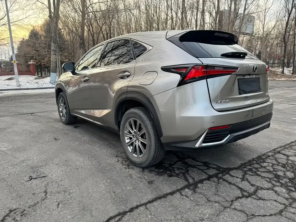 Lexus NX 2021 из CN, фото 2