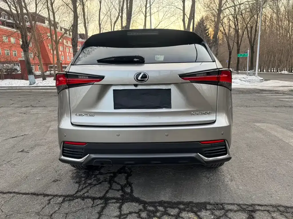 Lexus NX 2021 из CN, фото 6
