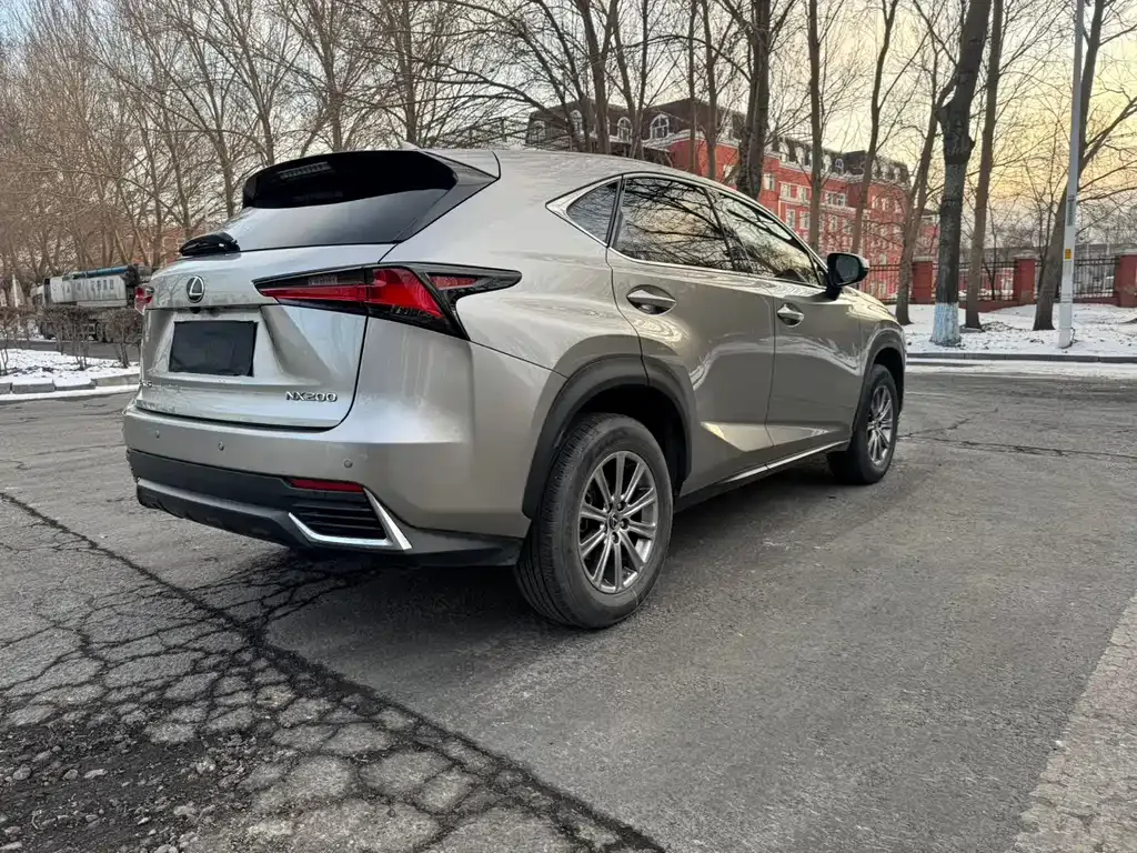 Lexus NX 2021 из CN, фото 4