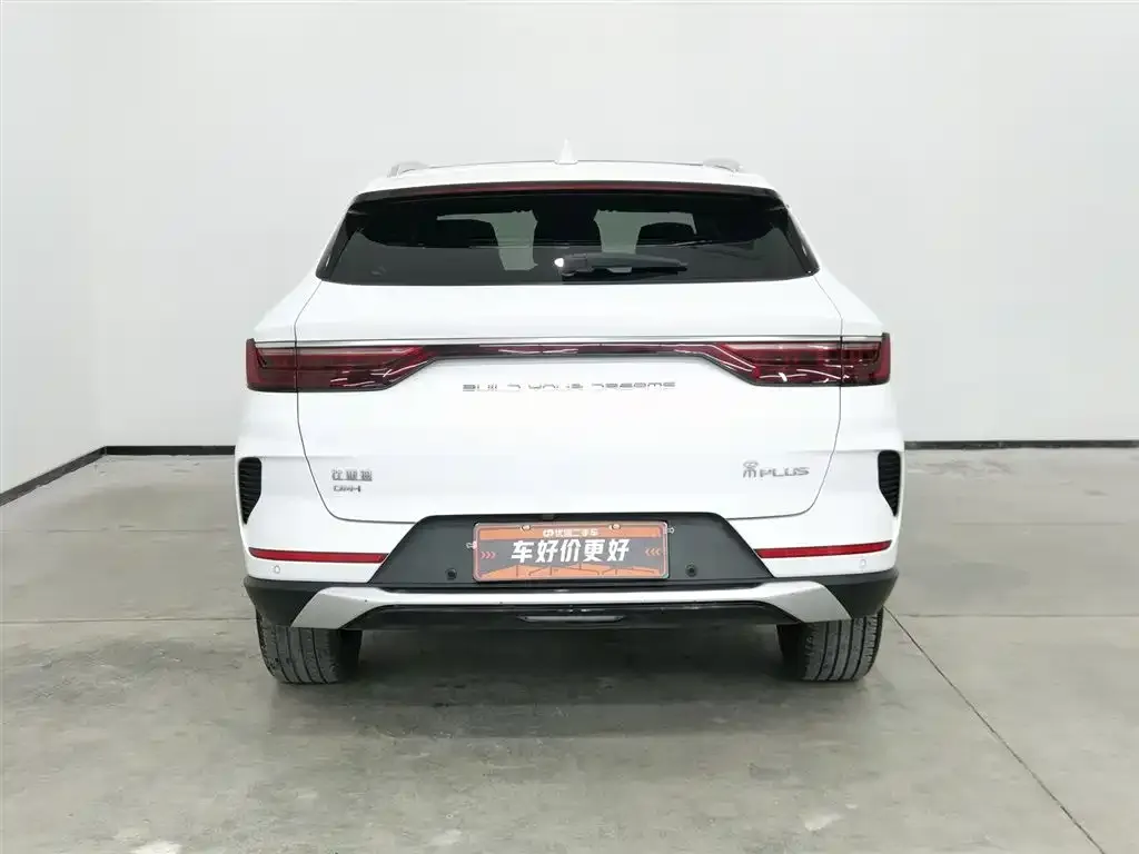 BYD PLUS New Energy — фото 4