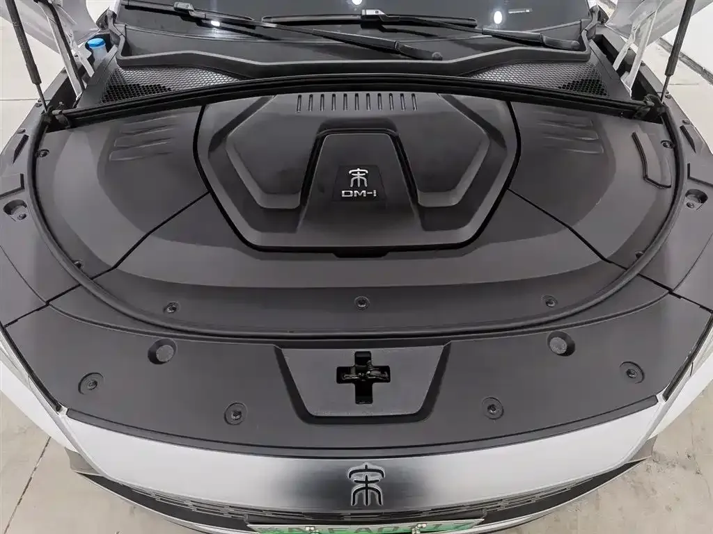 BYD PLUS New Energy — фото 2