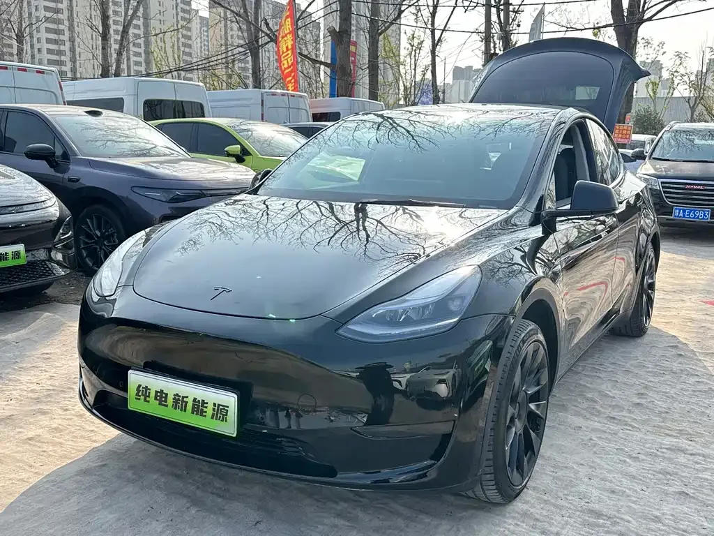 Tesla Model Y — фото 1