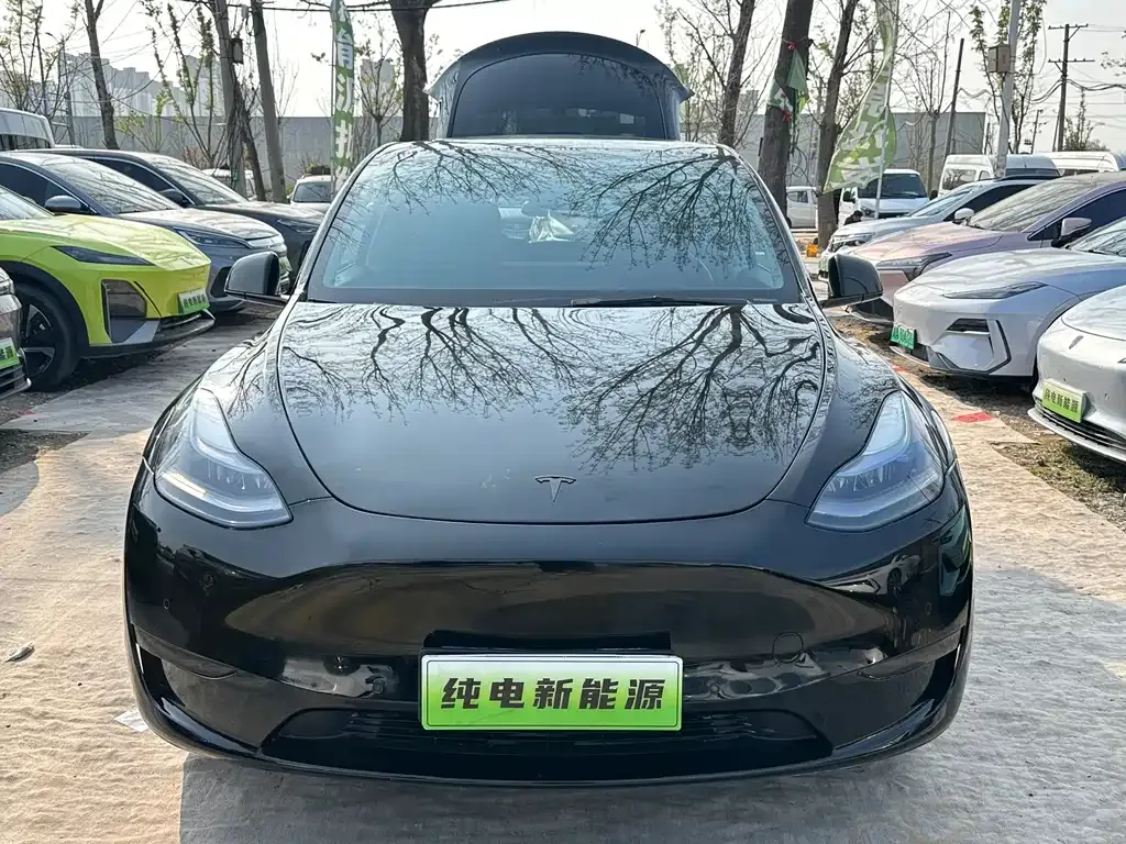 Tesla Model Y — фото 7