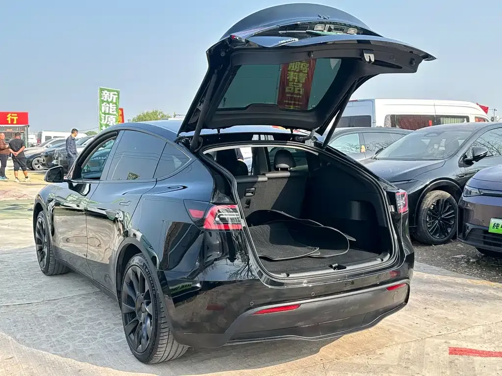 Tesla Model Y — фото 9