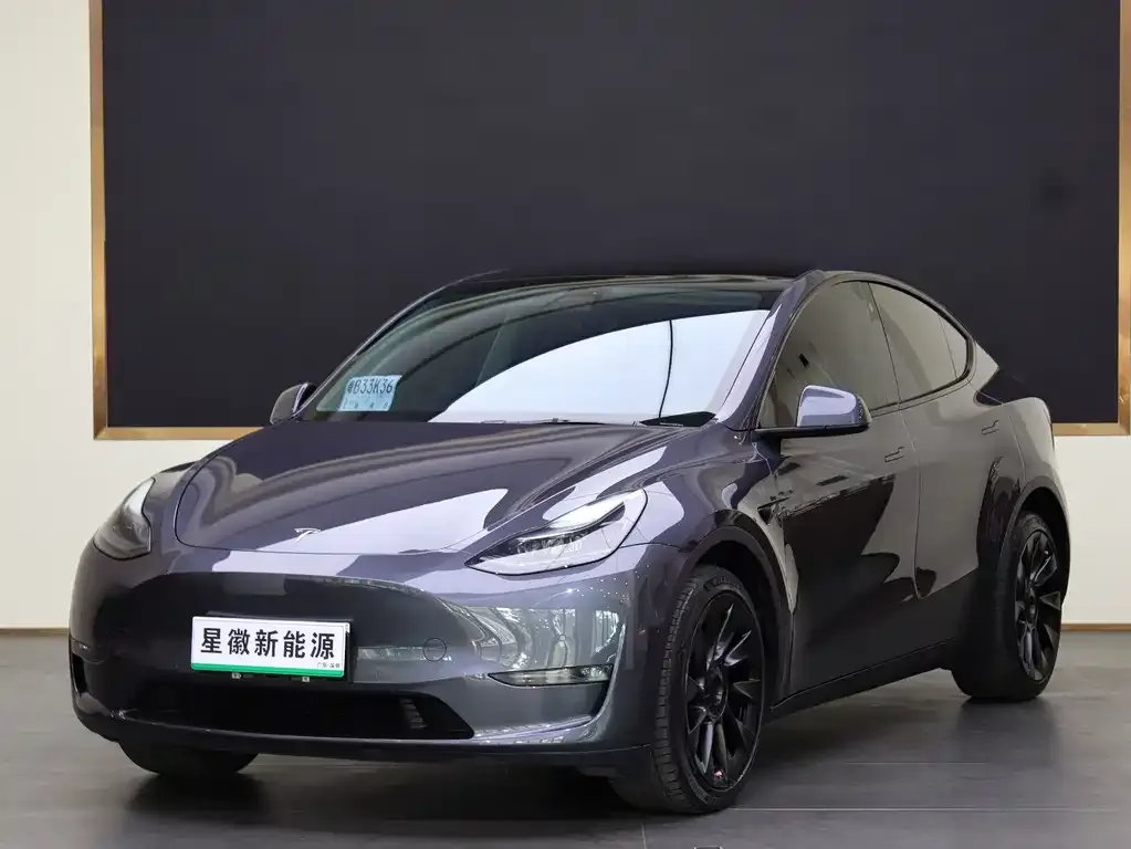 Tesla Model Y 2021 из CN, фото 1