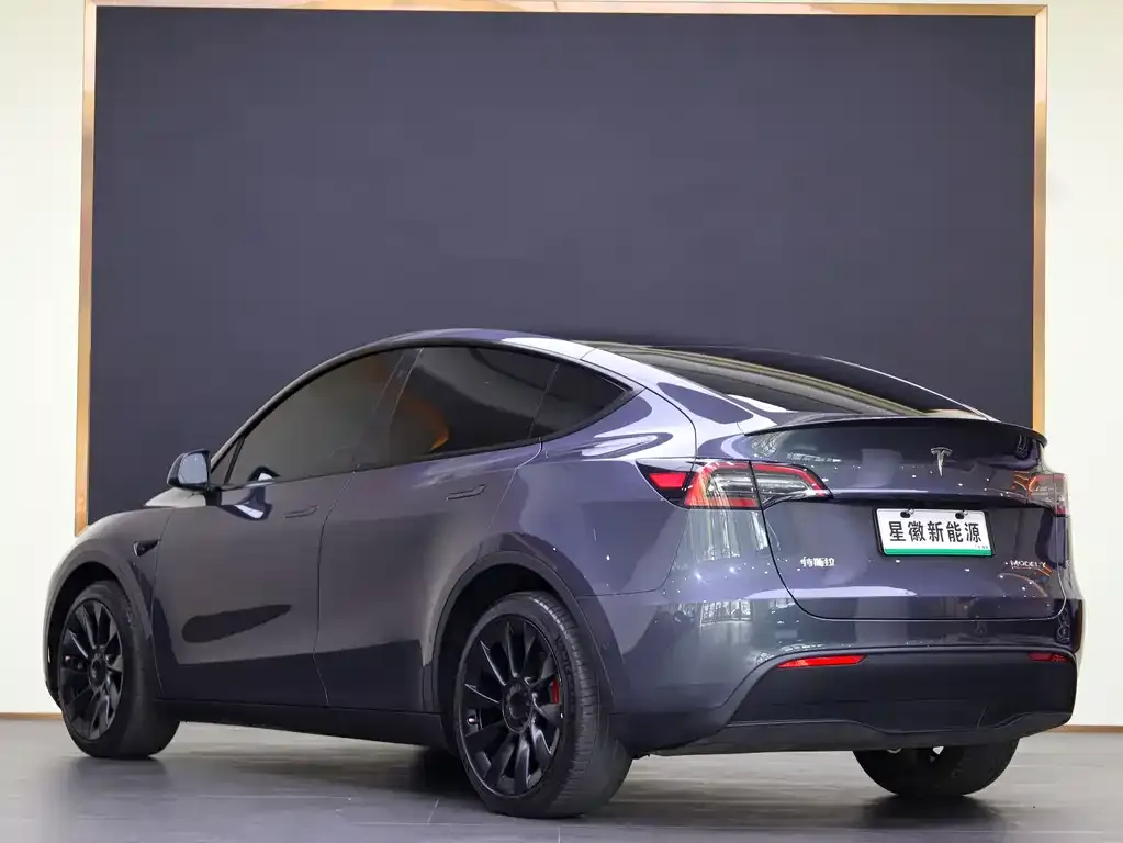 Tesla Model Y 2021 из CN, фото 4