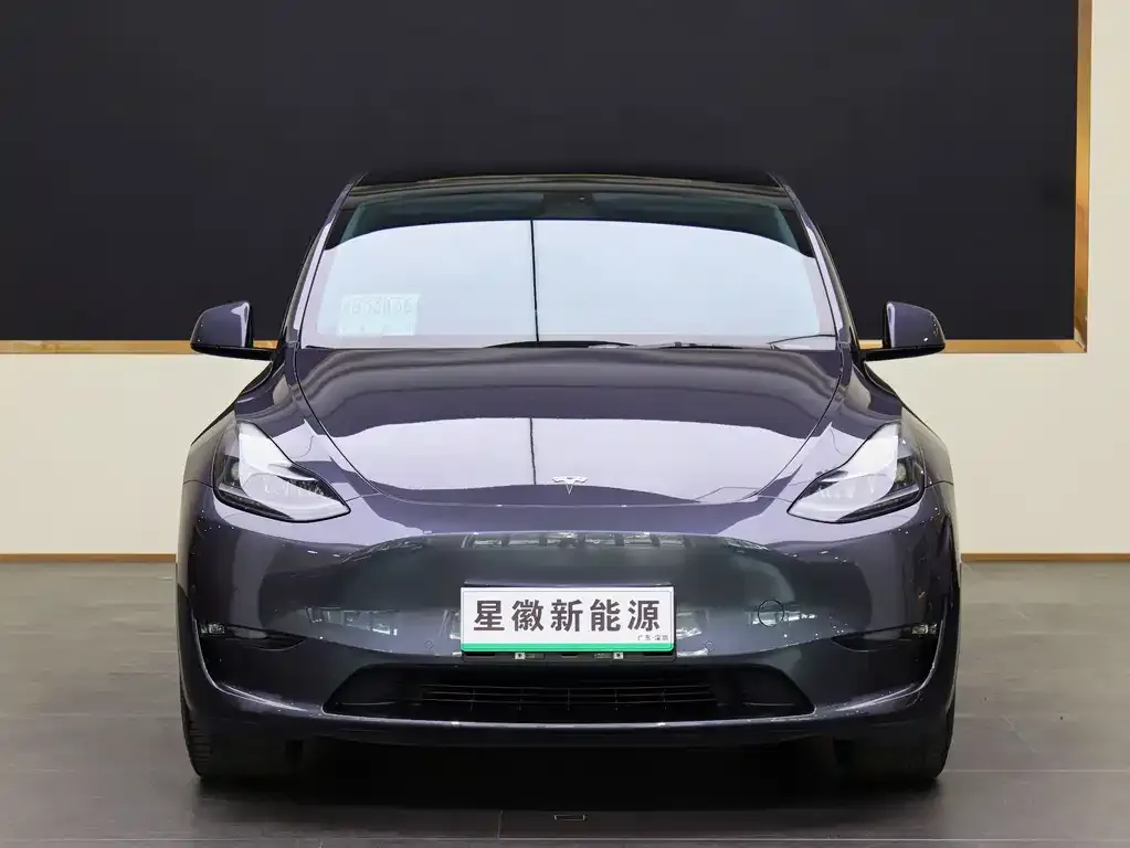 Tesla Model Y 2021 из CN, фото 9