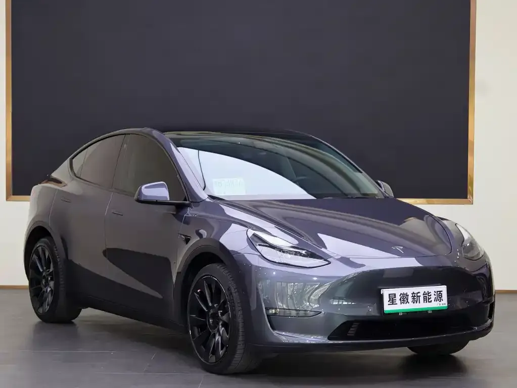 Tesla Model Y 2021 из CN, фото 8
